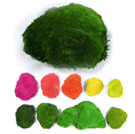 High quality natural colorfull moss - ReformX