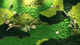 Moss wall M2 - ReformX