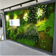 real preserved moss wall - ReformX